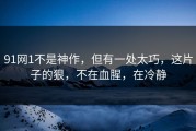 91网1不是神作，但有一处太巧，这片子的狠，不在血腥，在冷静