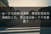 这一步让我瞬间清醒：蘑菇影视官网清缓存之后，横竖屏切换一下子就暴露了