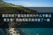 蘑菇视频下载深夜刷到为什么字幕设置变慢？我按电脑思路排查了一遍