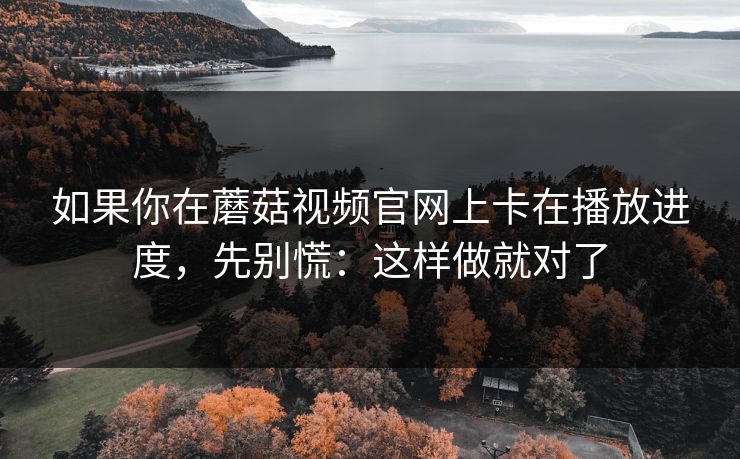 如果你在蘑菇视频官网上卡在播放进度，先别慌：这样做就对了