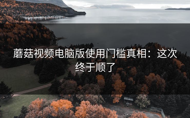 蘑菇视频电脑版使用门槛真相：这次终于顺了