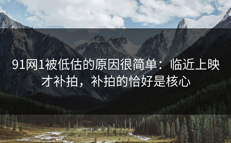 91网1被低估的原因很简单：临近上映才补拍，补拍的恰好是核心