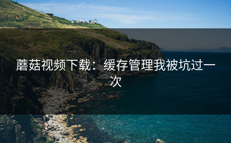 蘑菇视频下载:缓存管理我被坑过一次 蘑菇视频下载:缓存管理我被坑过一次
