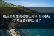 蘑菇影视在线观看切到移动网络后：字幕设置别再乱试了