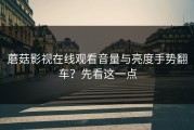 蘑菇影视在线观看音量与亮度手势翻车？先看这一点