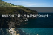 蘑菇视频下载：缓存管理我被坑过一次