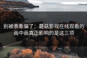 别被表象骗了：蘑菇影视在线观看的画中画真正影响的是这三项