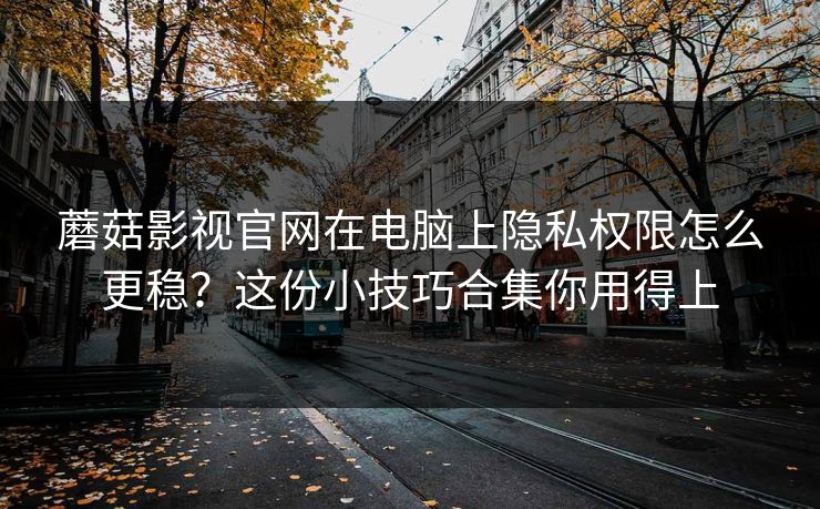蘑菇影视官网在电脑上隐私权限怎么更稳？这份小技巧合集你用得上