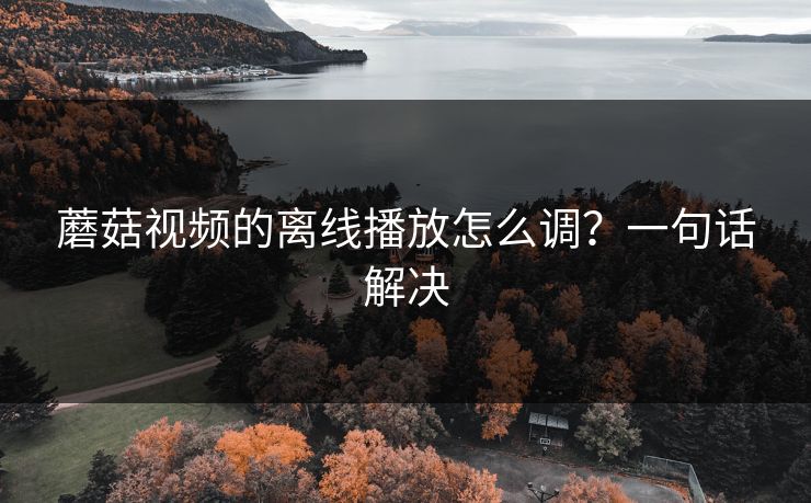 蘑菇视频的离线播放怎么调？一句话解决