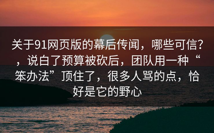 关于91网页版的幕后传闻，哪些可信？，说白了预算被砍后，团队用一种“笨办法”顶住了，很多人骂的点，恰好是它的野心