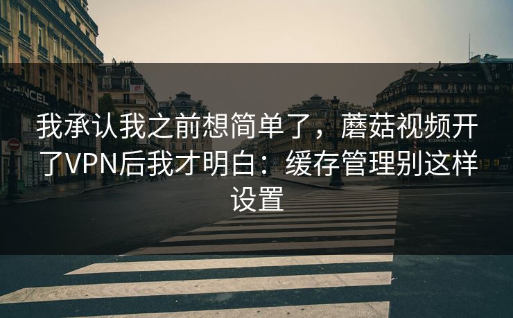 我承认我之前想简单了，蘑菇视频开了VPN后我才明白：缓存管理别这样设置
