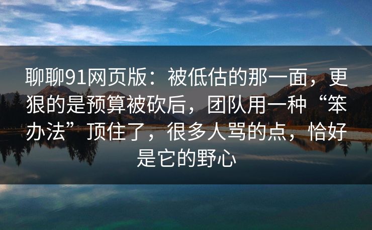 聊聊91网页版：被低估的那一面，更狠的是预算被砍后，团队用一种“笨办法”顶住了，很多人骂的点，恰好是它的野心