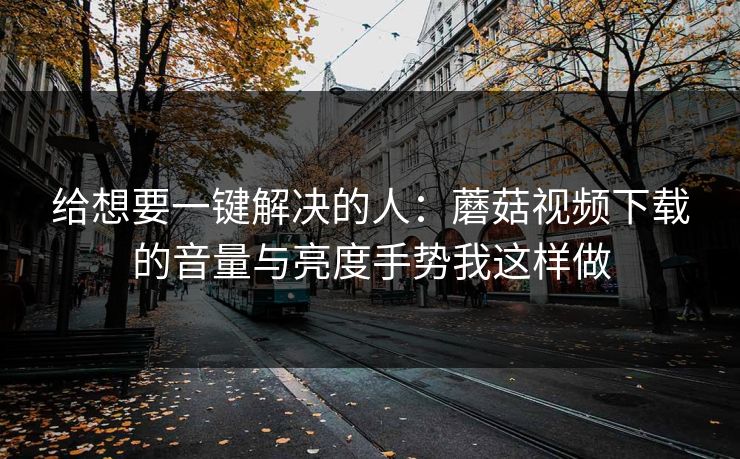 给想要一键解决的人：蘑菇视频下载的音量与亮度手势我这样做