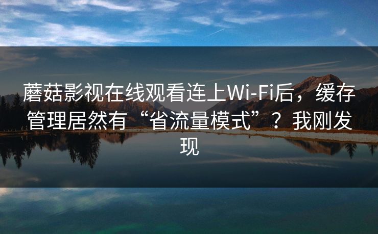 蘑菇影视在线观看连上Wi‑Fi后，缓存管理居然有“省流量模式”？我刚发现