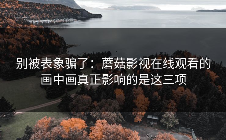 别被表象骗了:蘑菇影视在线观看的画中画真正影响的是这三项 别被表象骗了:蘑菇影视在线观看的画中画真正影响的是这三项