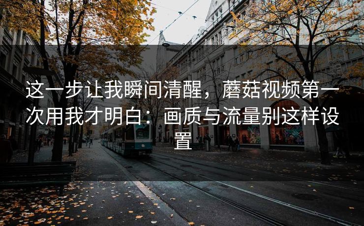 这一步让我瞬间清醒，蘑菇视频第一次用我才明白：画质与流量别这样设置
