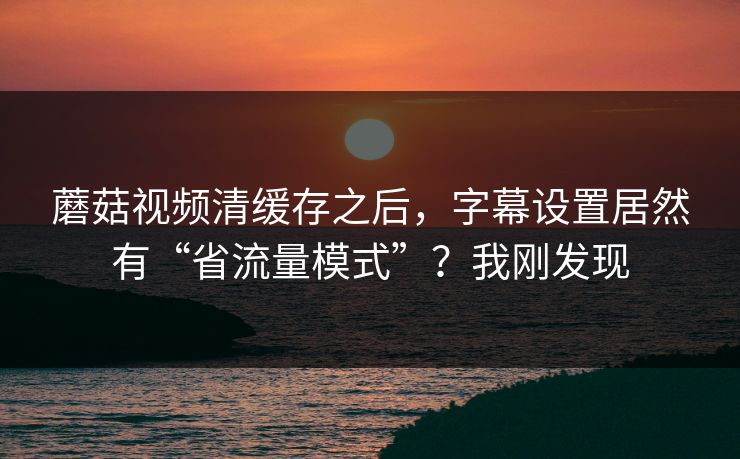 蘑菇视频清缓存之后，字幕设置居然有“省流量模式”？我刚发现