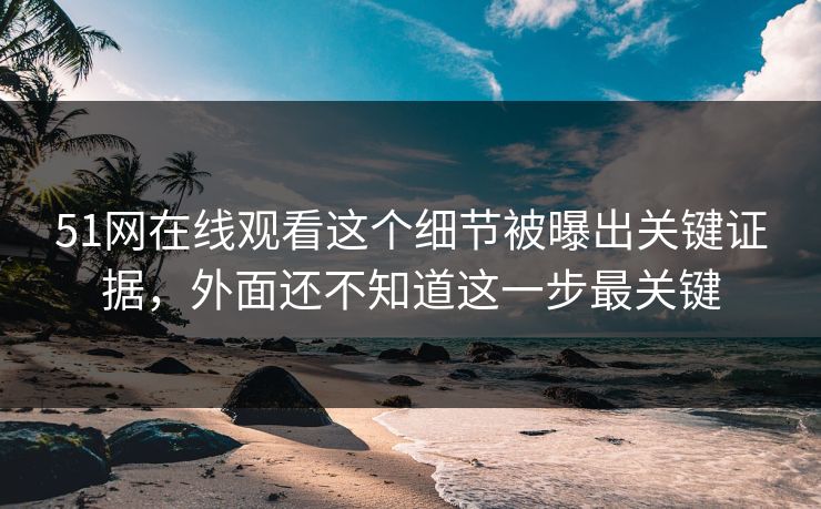 51网在线观看这个细节被曝出关键证据，外面还不知道这一步最关键